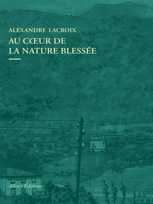 cover image of Au coeur de la nature blessée--Apprendre à voir les paysages du XXIe siècle